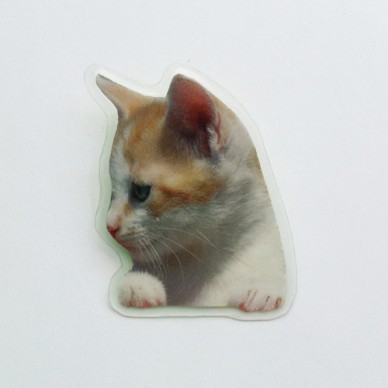 brooch lam cat