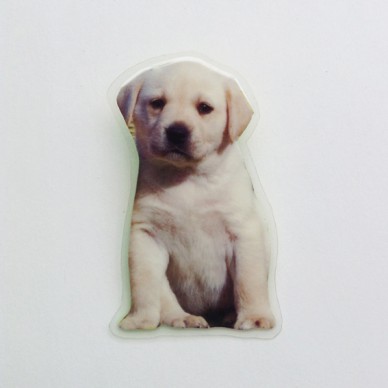 brooch lam dog