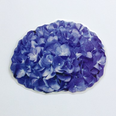 brooch  hortensia