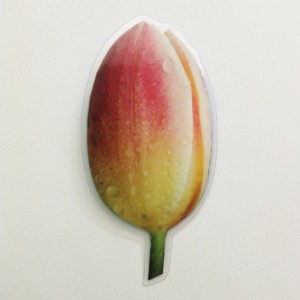 brooch lam tulip color 