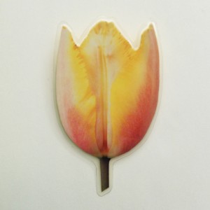 brooch lam tulip colors 