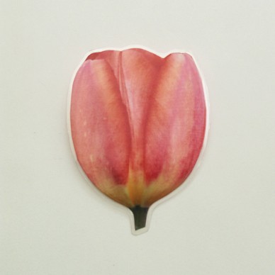 brooch  tulip softpink