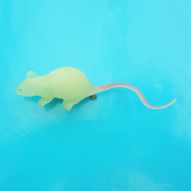 brooch rat green