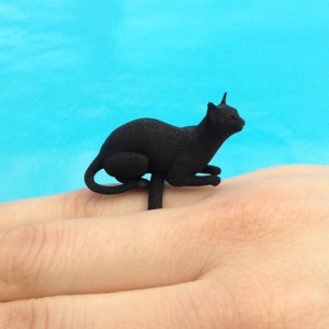 ring cat lying black 