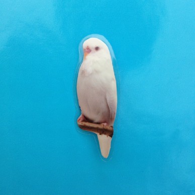 brooch bird white