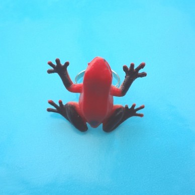 ring frog red 72