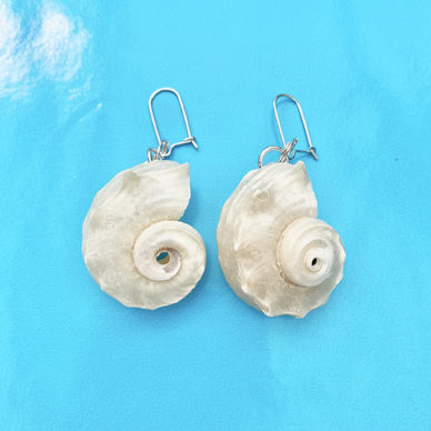earring shells white 72